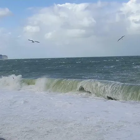 Aux Premières Loges Fécamp