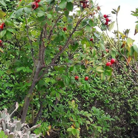 Aux Premieres Loges ヴィラ