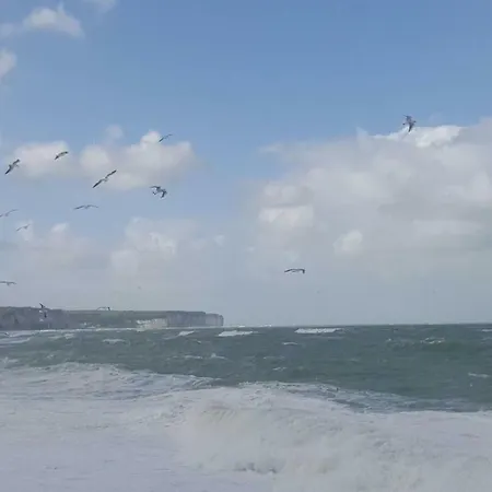 Aux Premieres Loges * フェカン