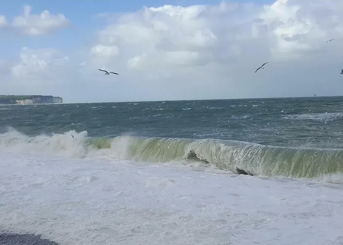 Aux Premieres Loges Fecamp