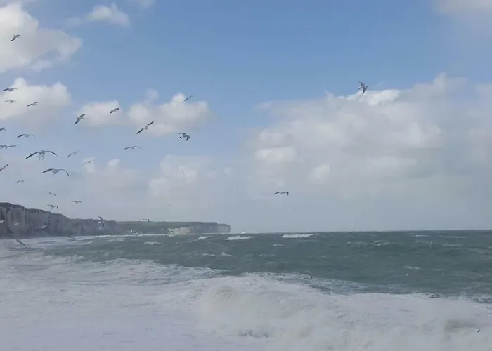 Aux Premieres Loges * Fecamp